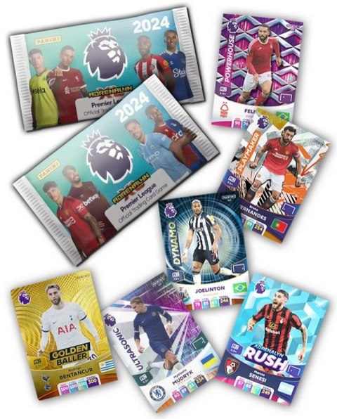 Saszetka Premier League 2024 Panini