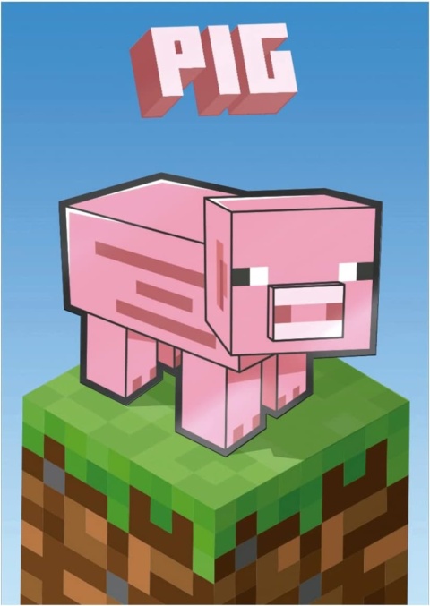 Saszetka Karty Minecraft Panini