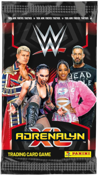 Saszetka z Kartami WWE 2024 Panini