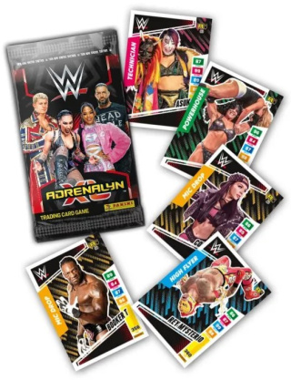 Saszetka z Kartami WWE 2024 Panini