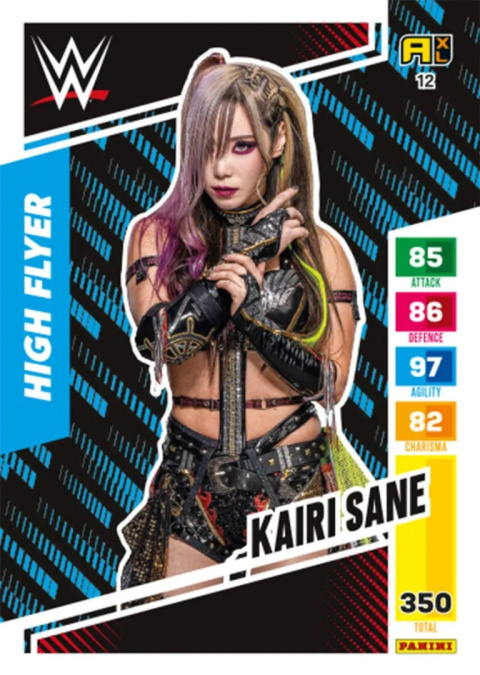 Saszetka z Kartami WWE 2024 Panini