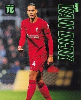 19 - Virgil van Dijk - Liverpool - Team Mates