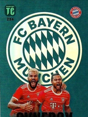 234 - Eric Maxim Choupo-Moting / Serge Gnabry - FC Bayern München - Synergy