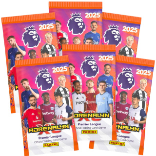 Saszetki 6 szt. Premier League 2025 Panini