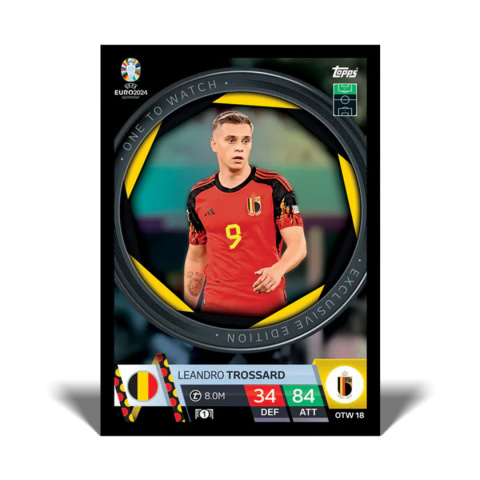 Tournament Celebration BOX EURO 2024 Match Attax