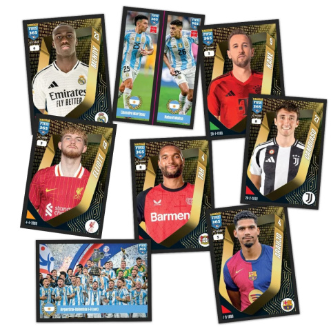 Album Twarda Okładka Naklejki FIFA 365 2025 Panini