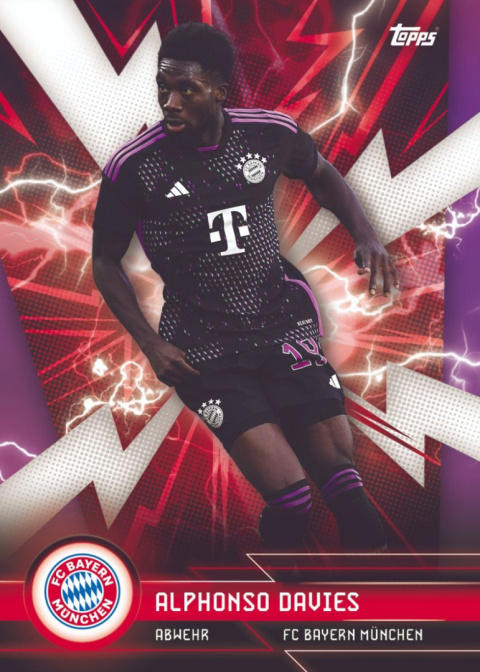 FC Bayern Official Fan Set 2024