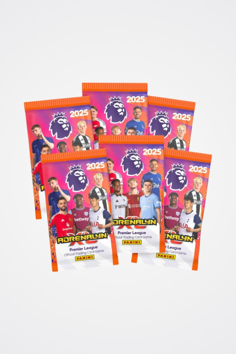 Saszetki 6 szt. Premier League 2025 Panini Karty Piłkarskie