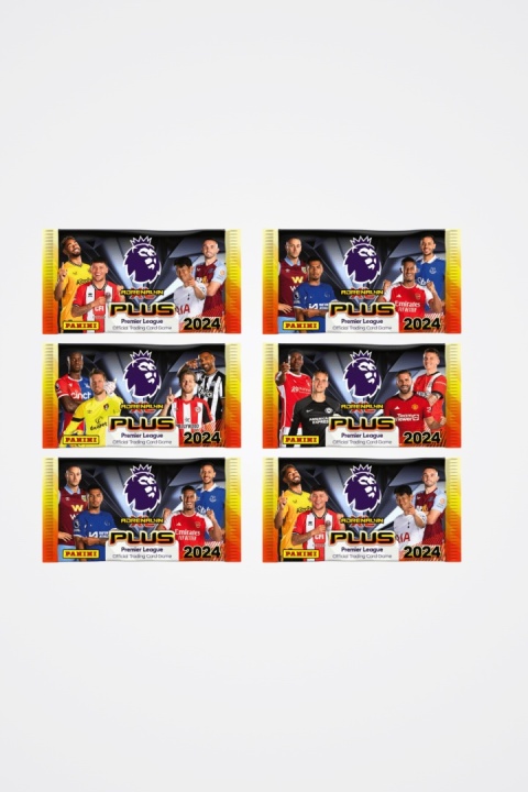 Saszetki 6 szt. Premier League 2024 PLUS Panini